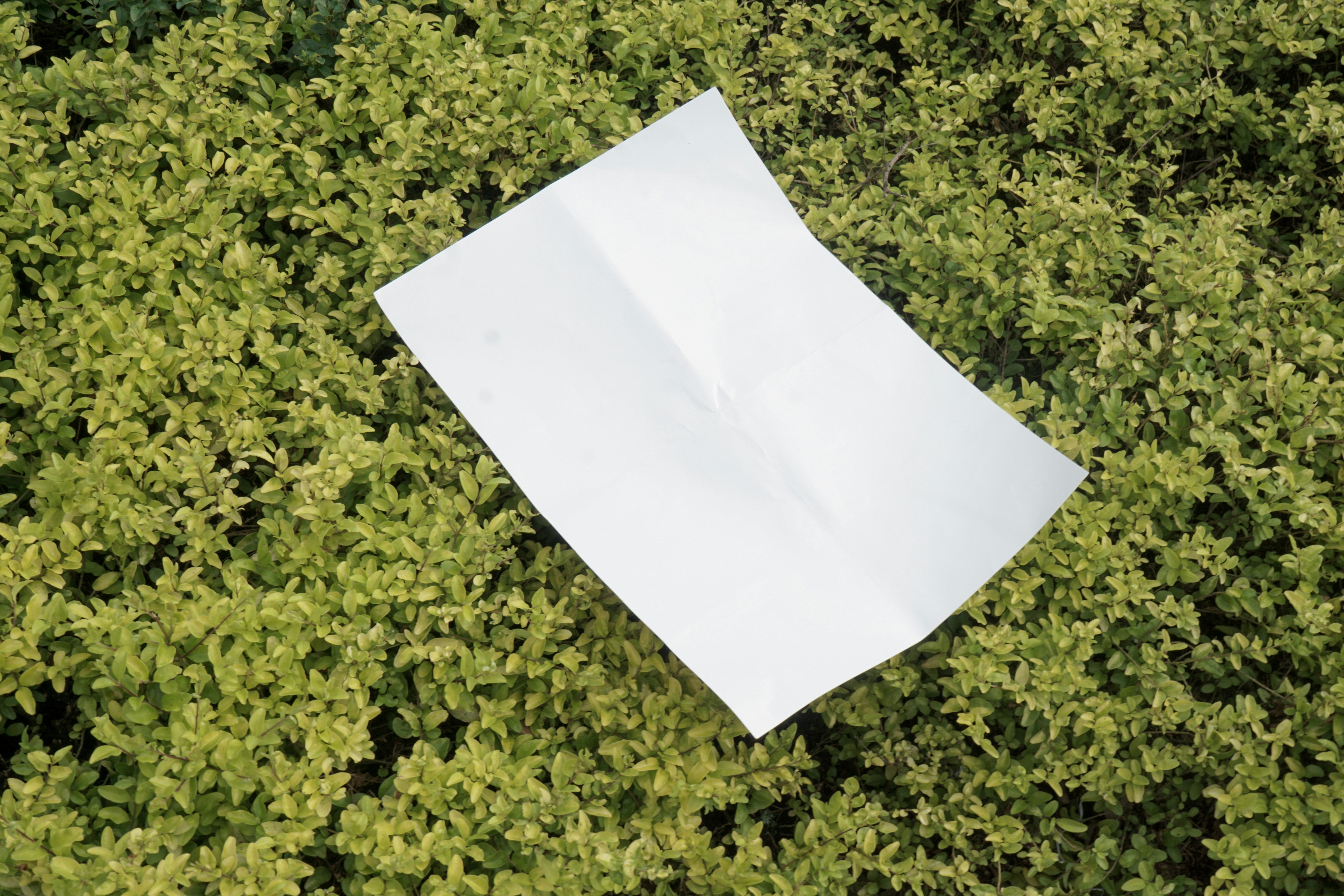 paperless