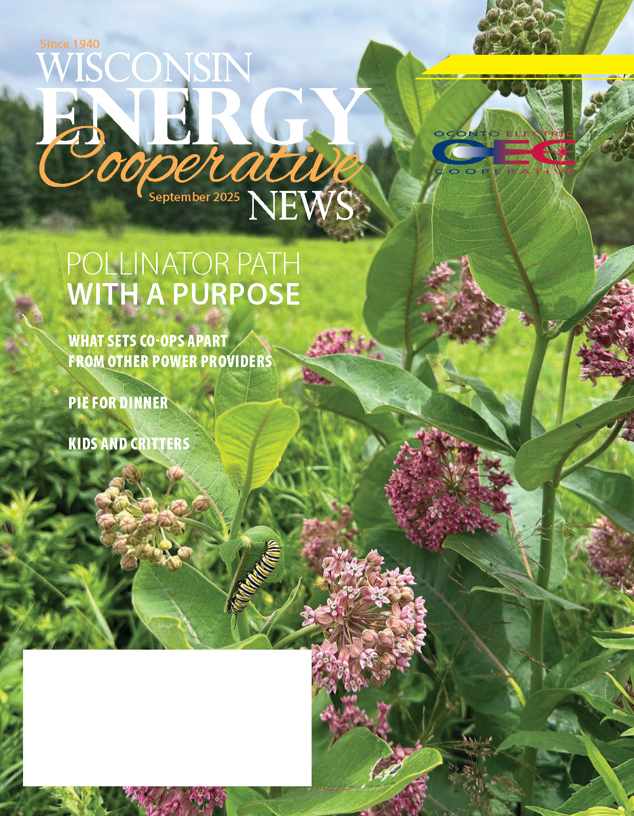 WECN September Issue Cover, milkweed in pollinator garden