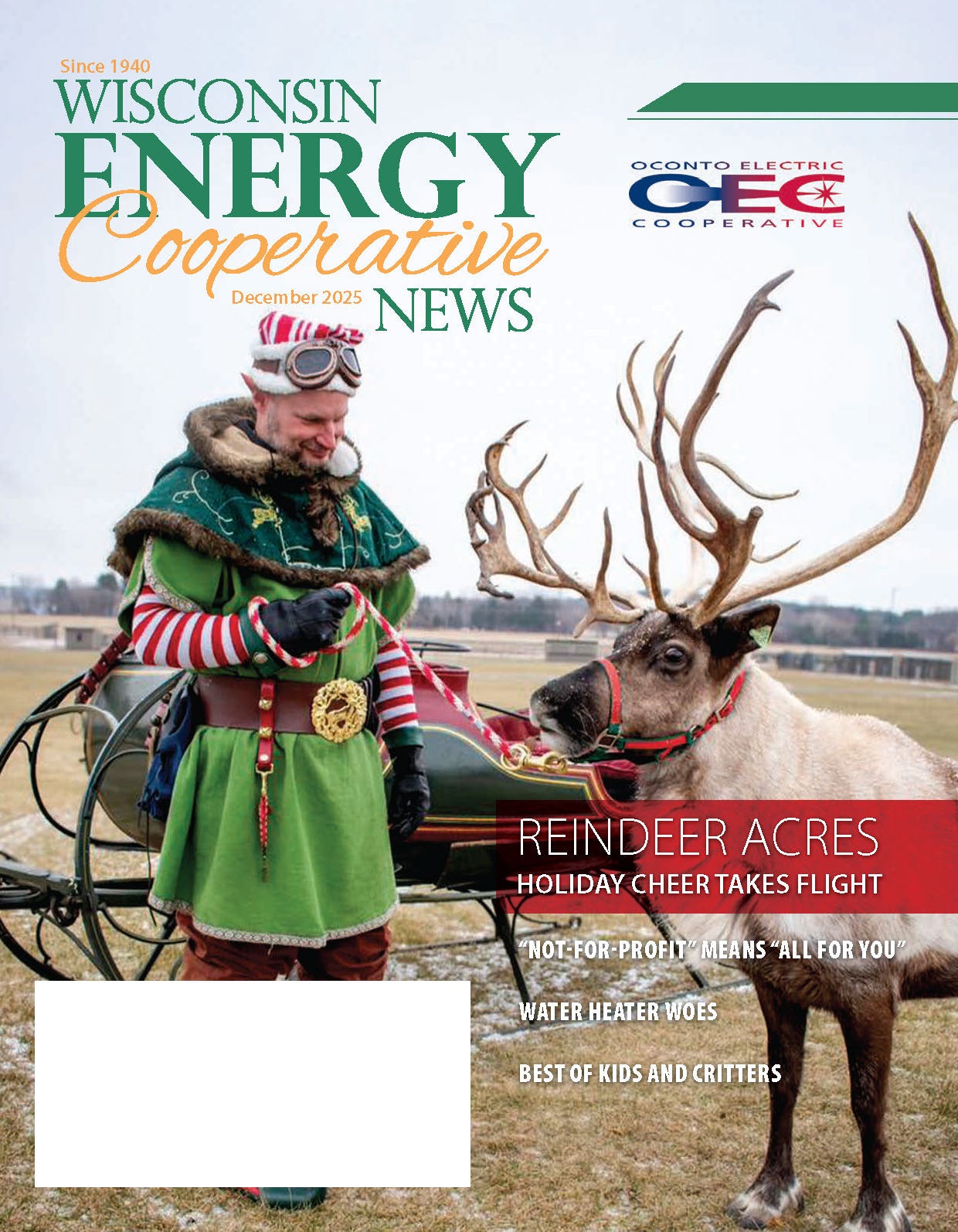 December cover with reindeer