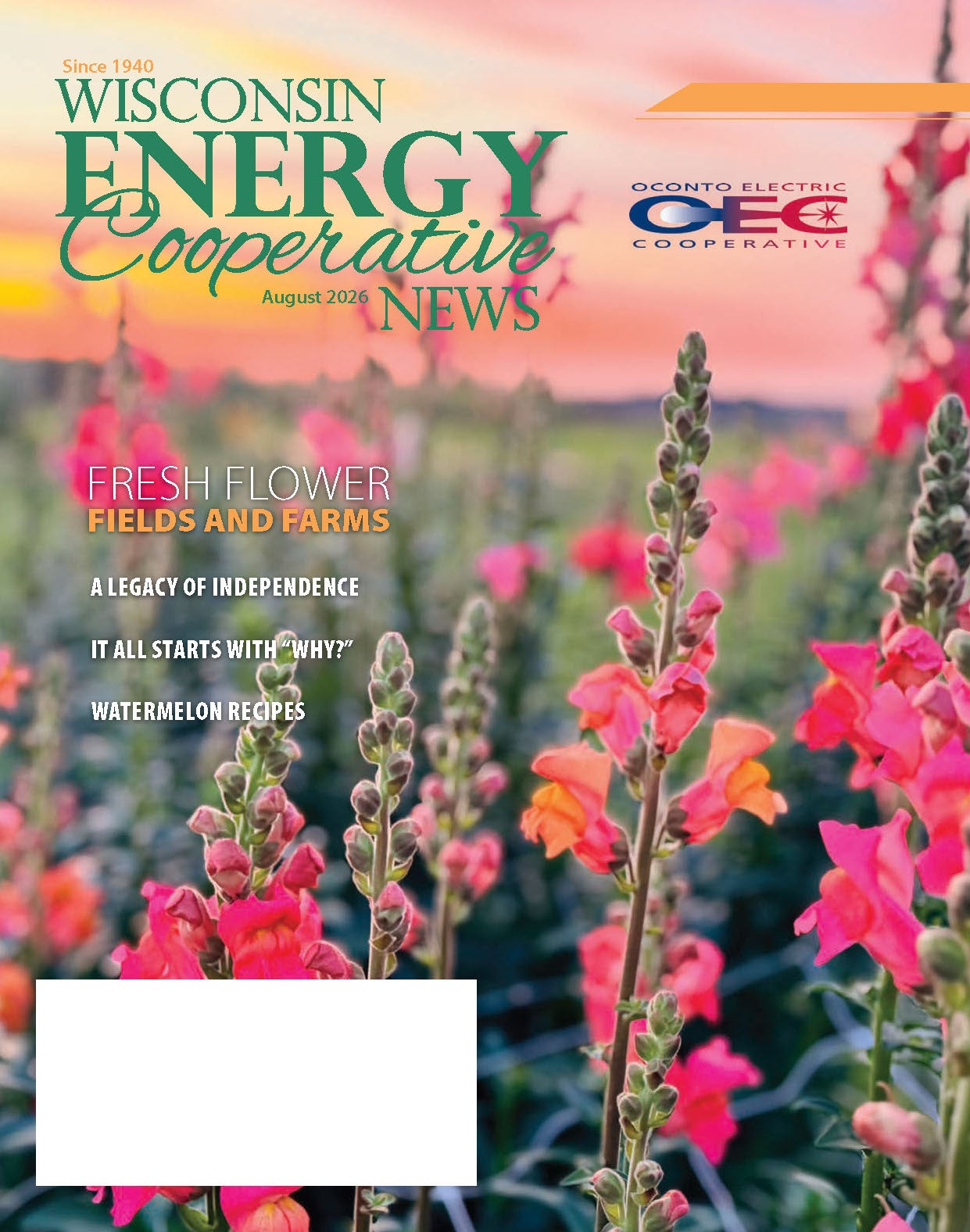 OEC August magazine cover